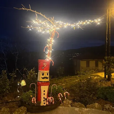 νικόλ 빌라 아노 트리칼라